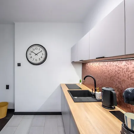 Apartament Plebiscytowa Apartment Gliwice